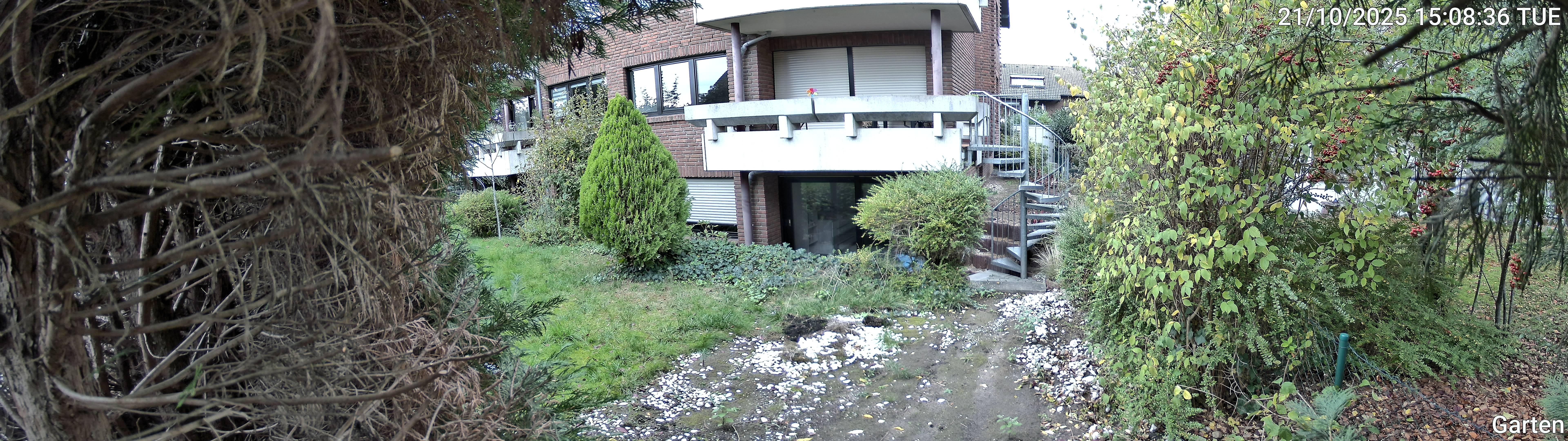 Garten_00_20251021150837.jpg
