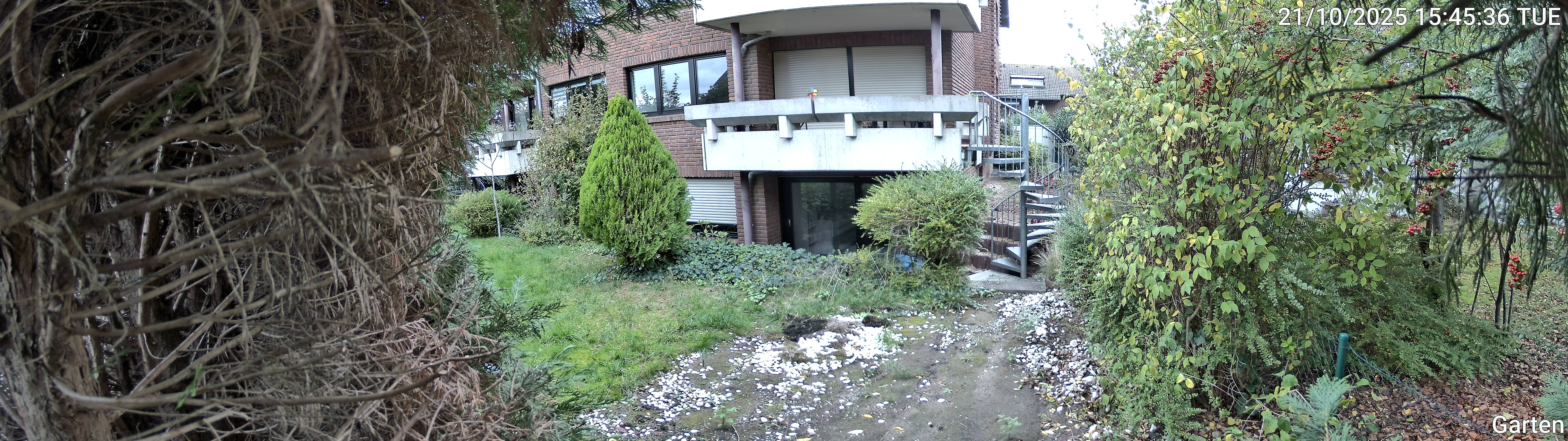 Garten_00_20251021154536.jpg