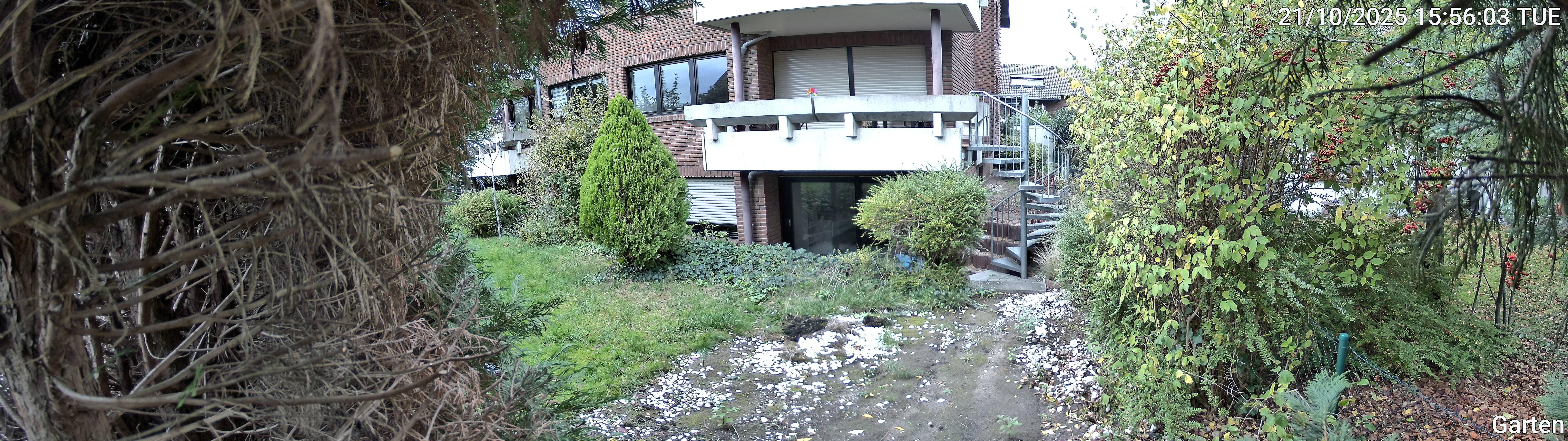 Garten_00_20251021155604.jpg