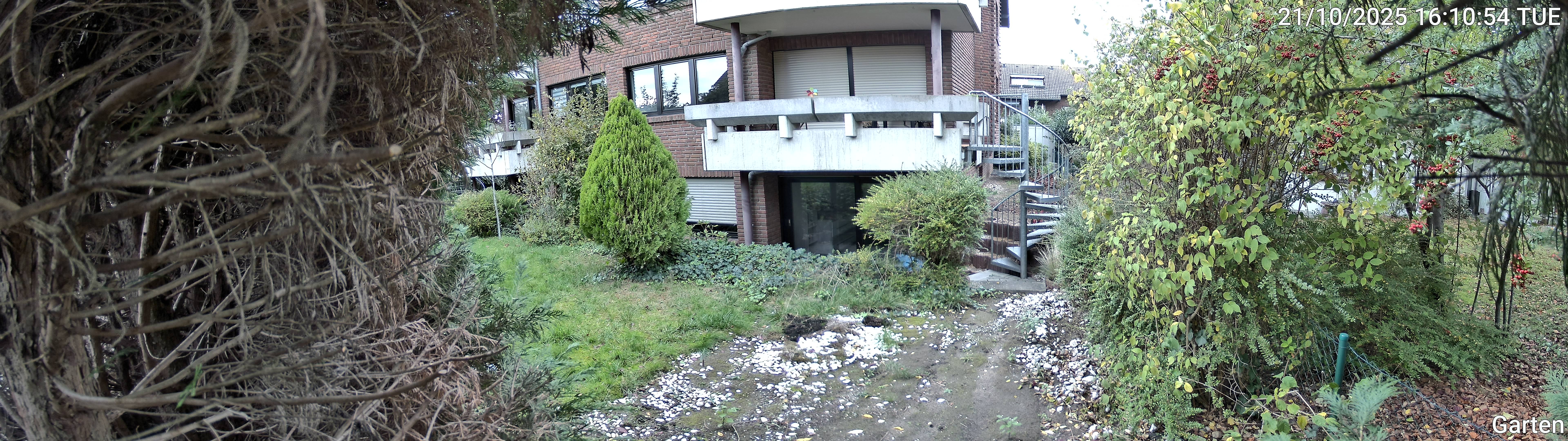 Garten_00_20251021161055.jpg