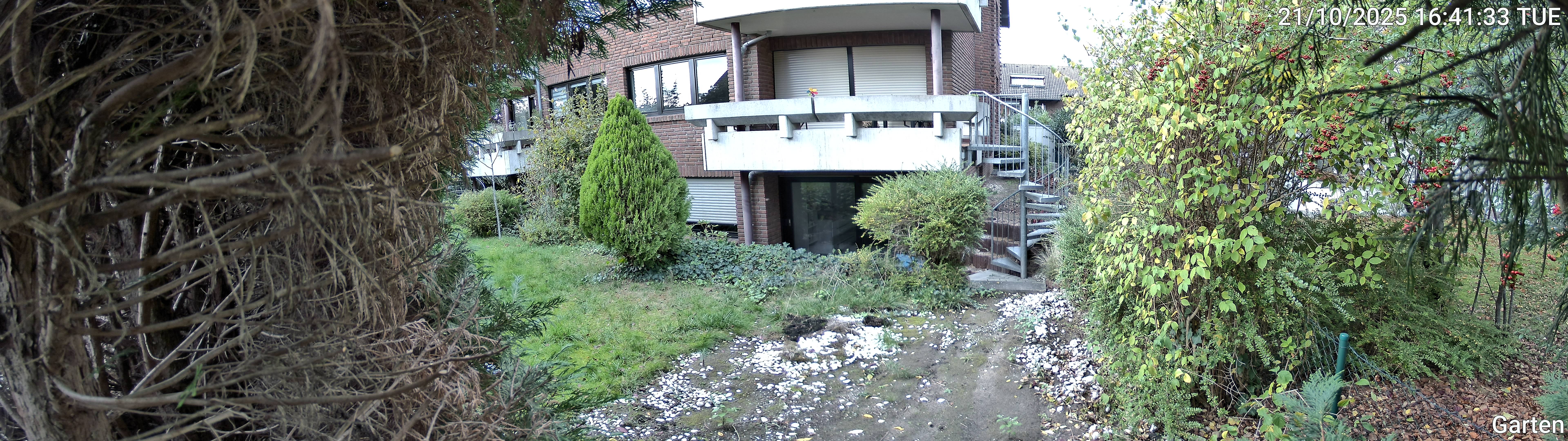 Garten_00_20251021164133.jpg