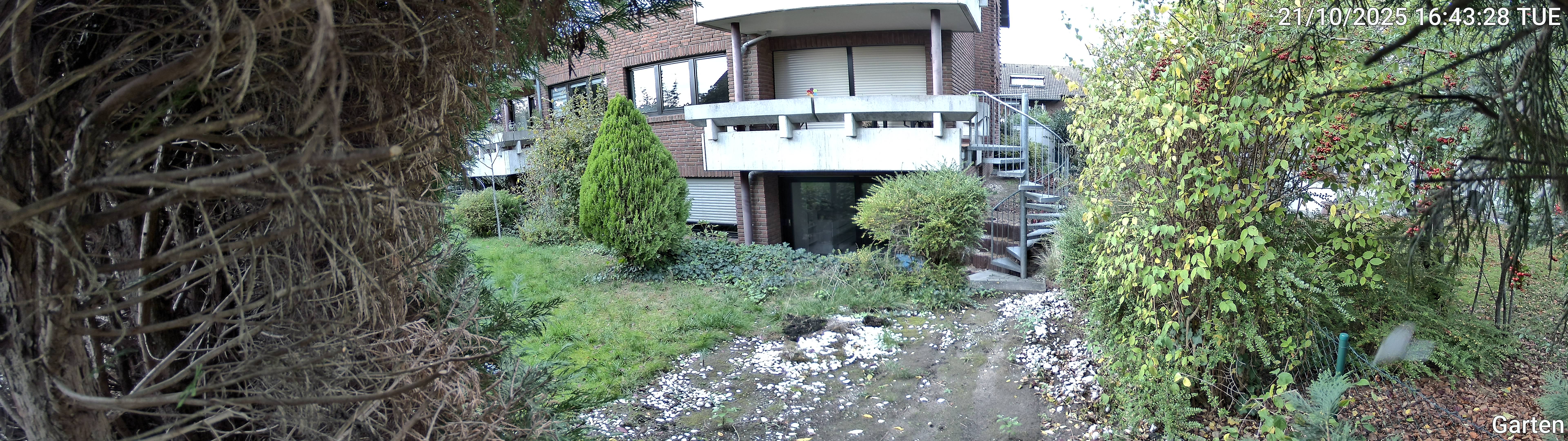 Garten_00_20251021164328.jpg