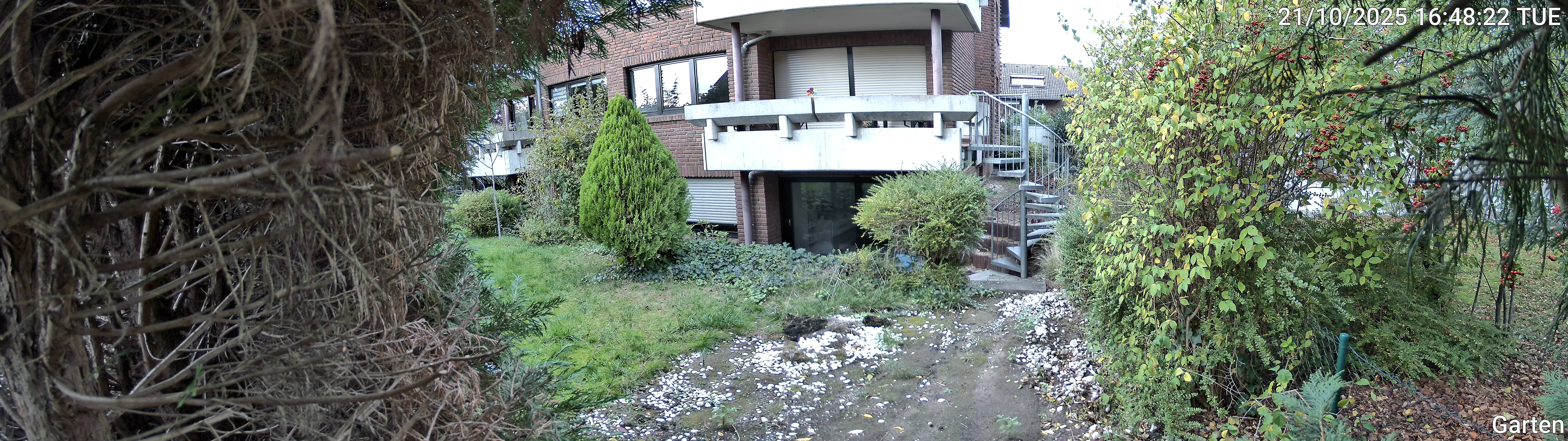 Garten_00_20251021164822.jpg