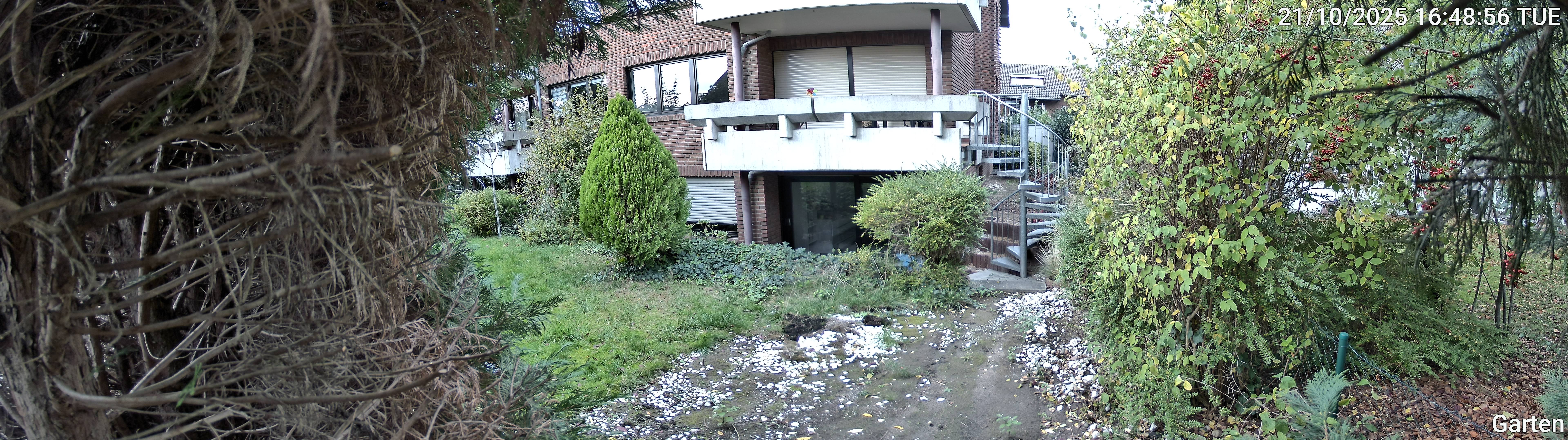 Garten_00_20251021164856.jpg