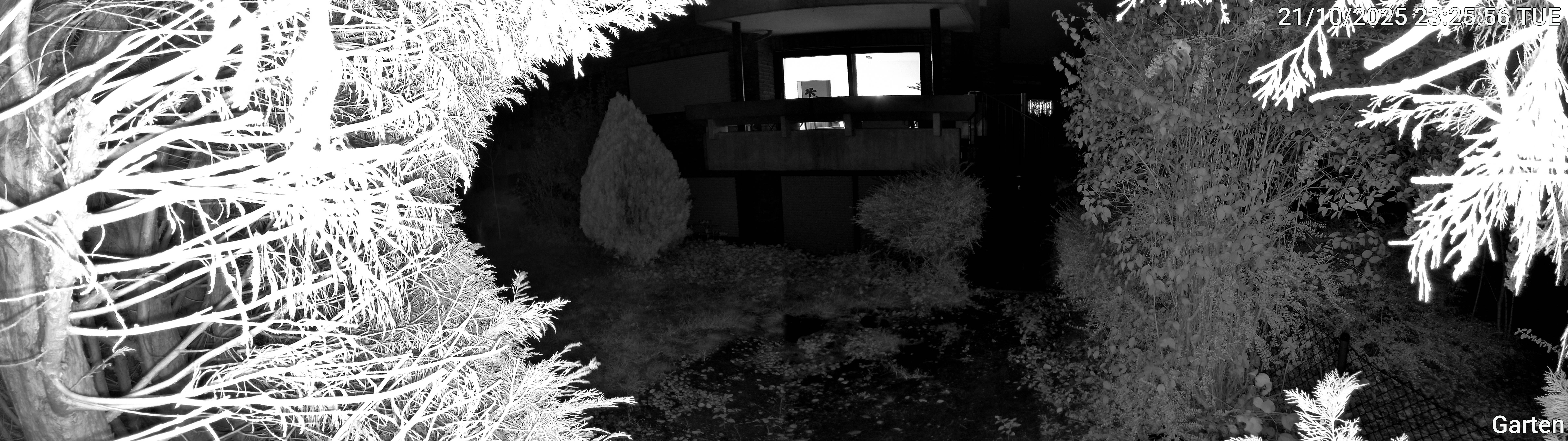 Garten_00_20251021232557.jpg