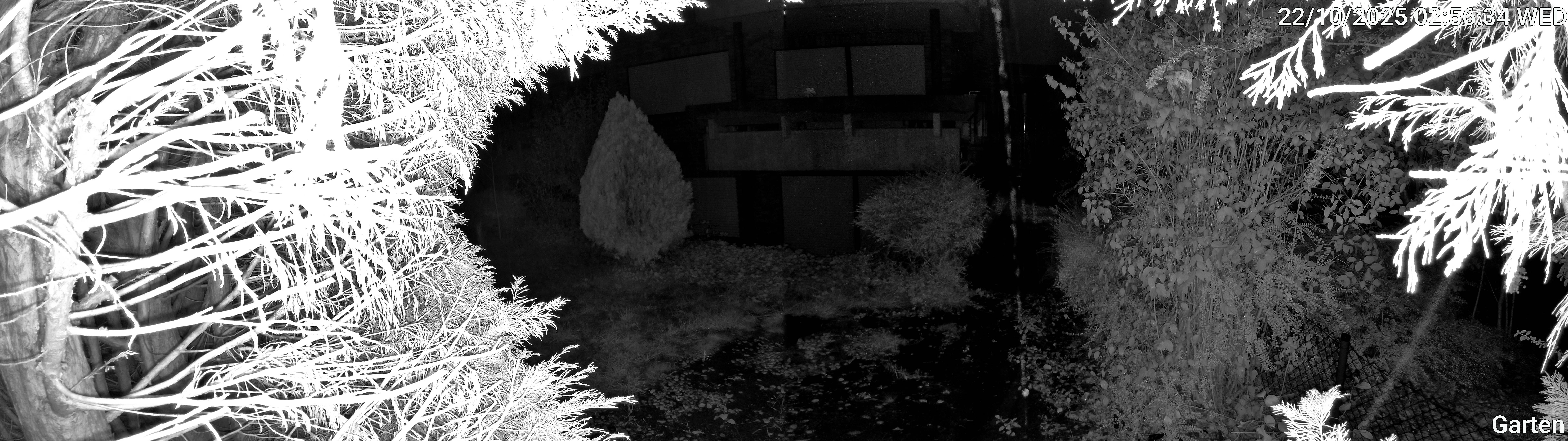 Garten_00_20251022025635.jpg