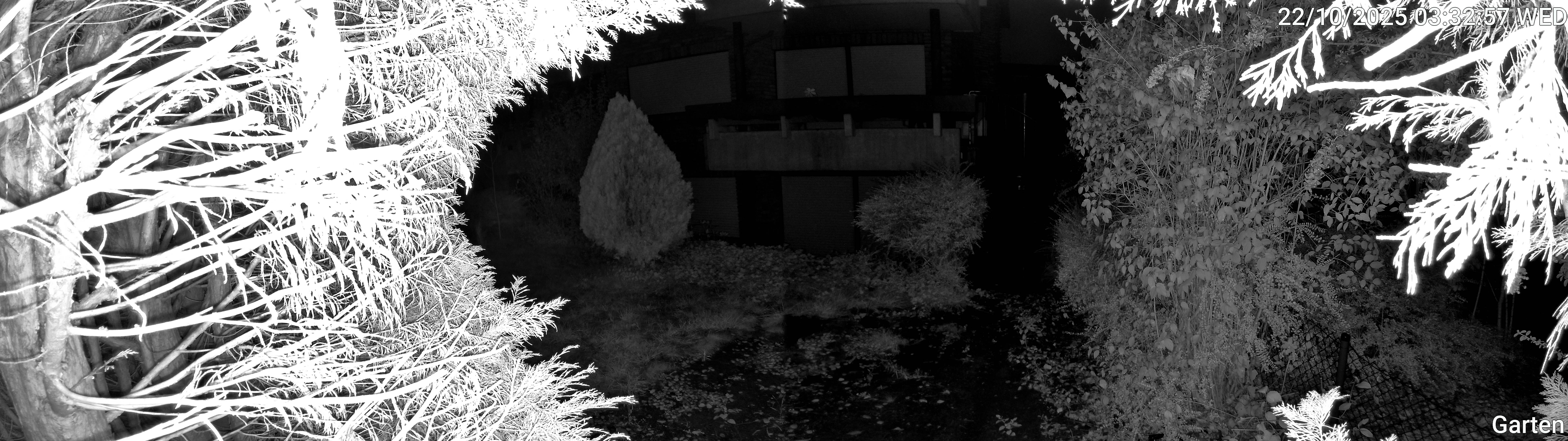 Garten_00_20251022033257.jpg
