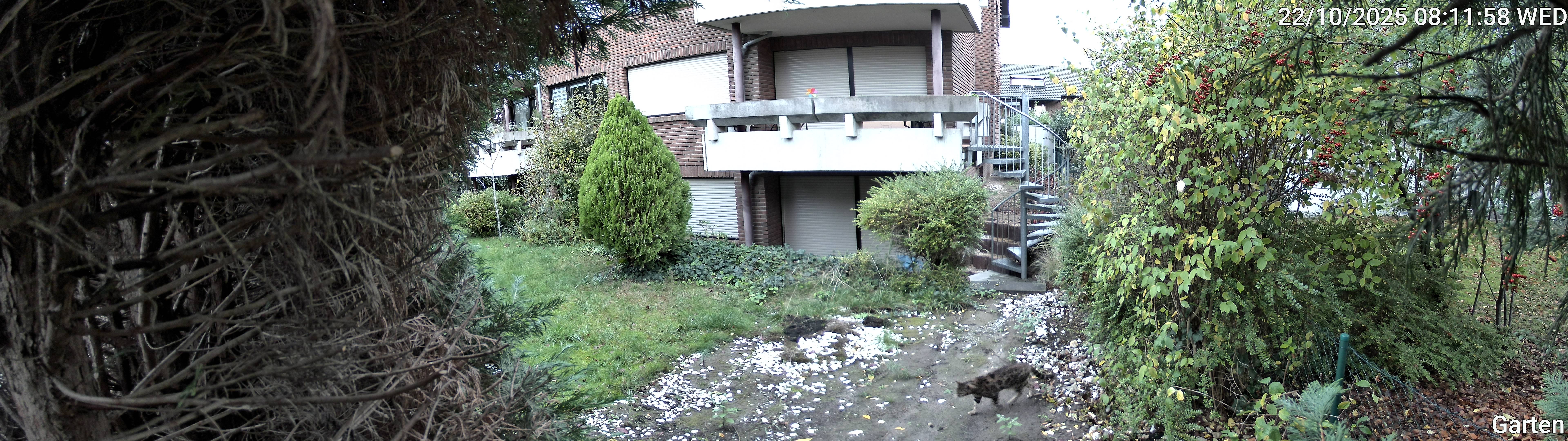 Garten_00_20251022081158.jpg
