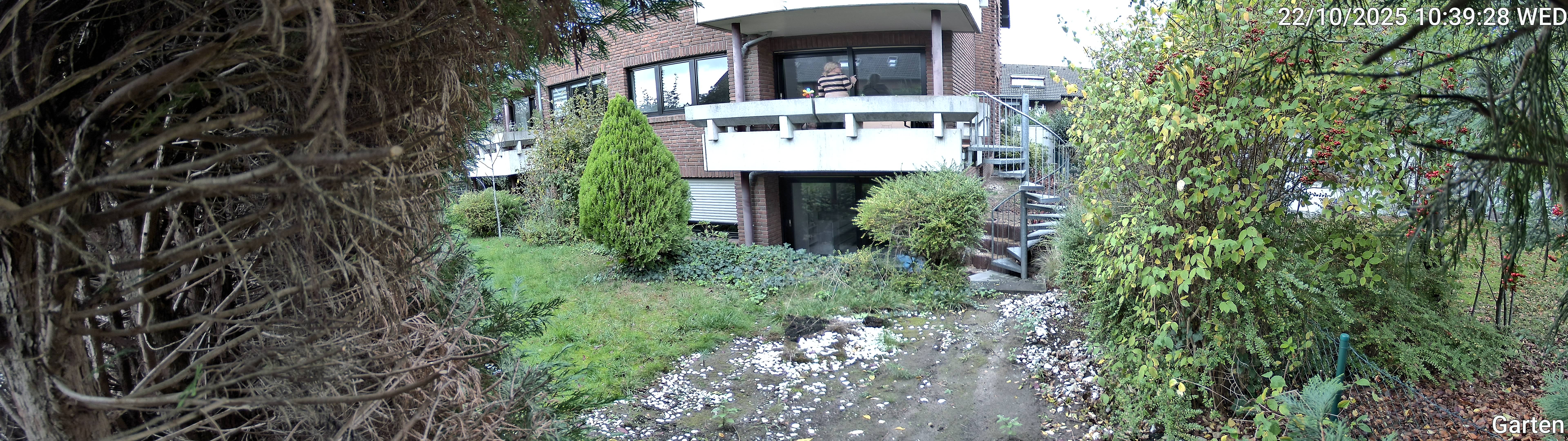 Garten_00_20251022103928.jpg
