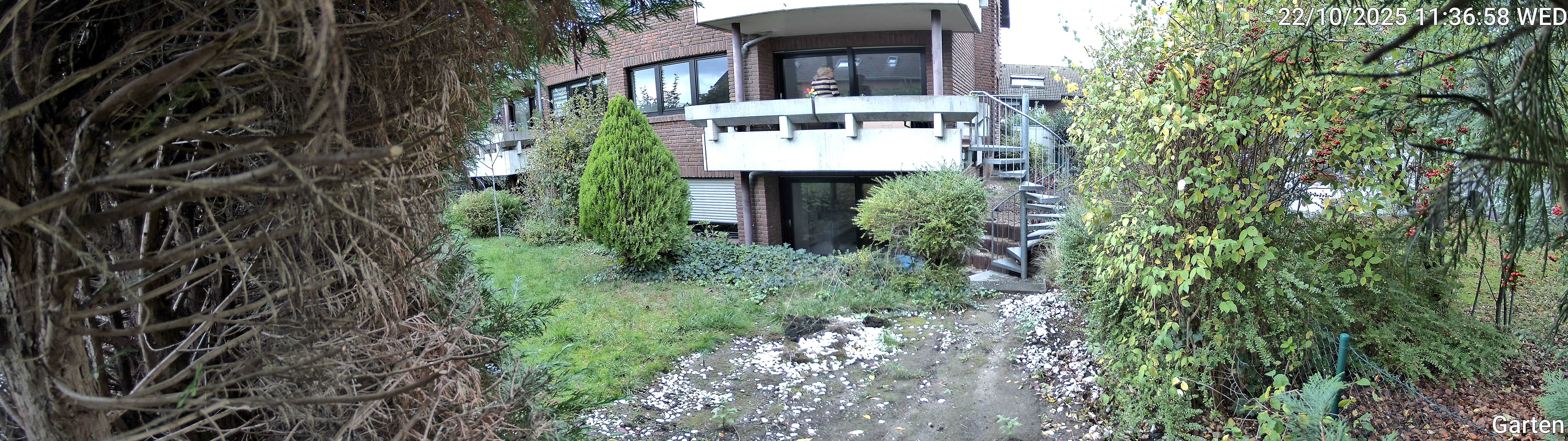Garten_00_20251022113659.jpg