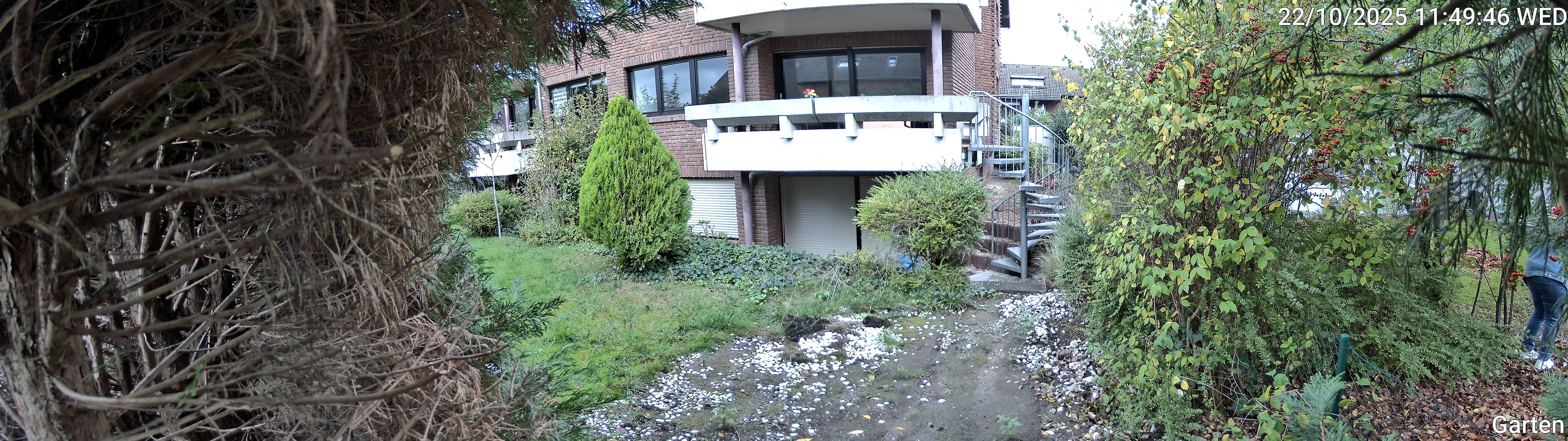 Garten_00_20251022114946.jpg
