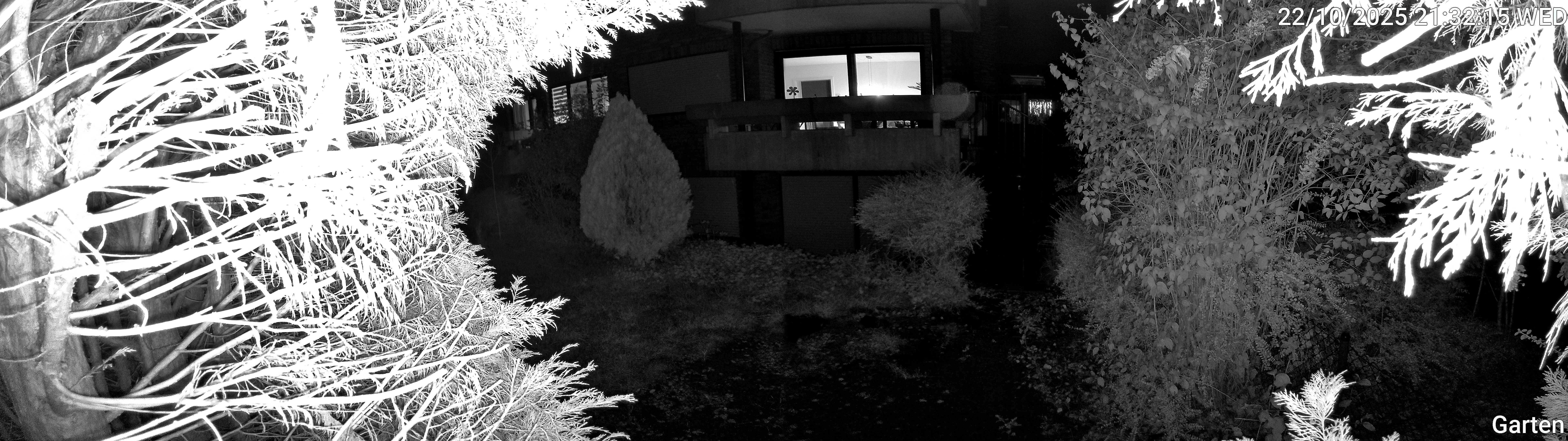 Garten_00_20251022213215.jpg