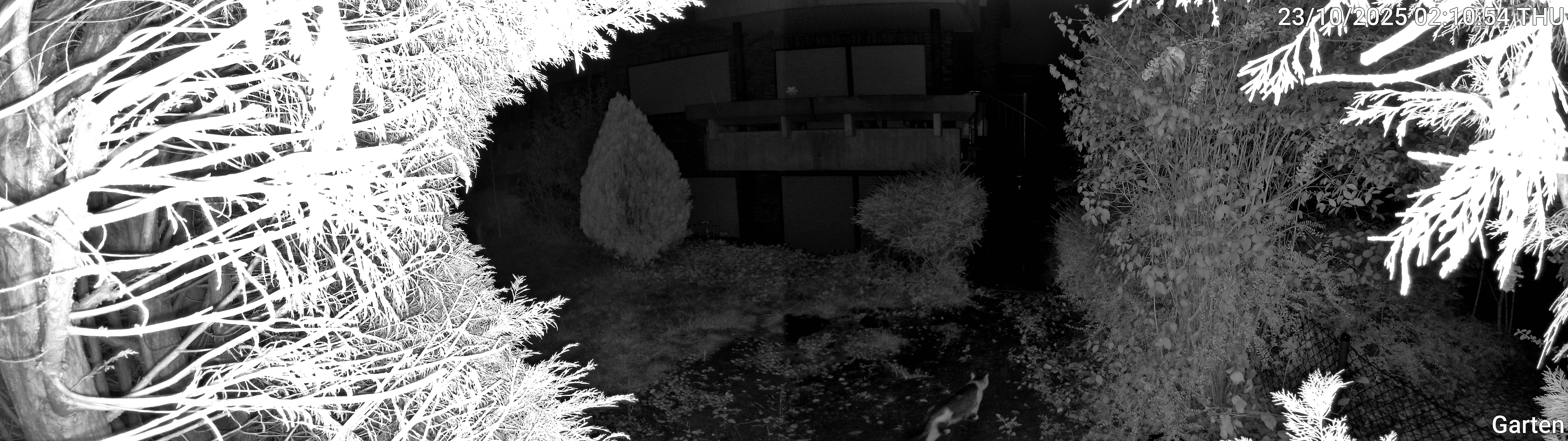 Garten_00_20251023021054.jpg