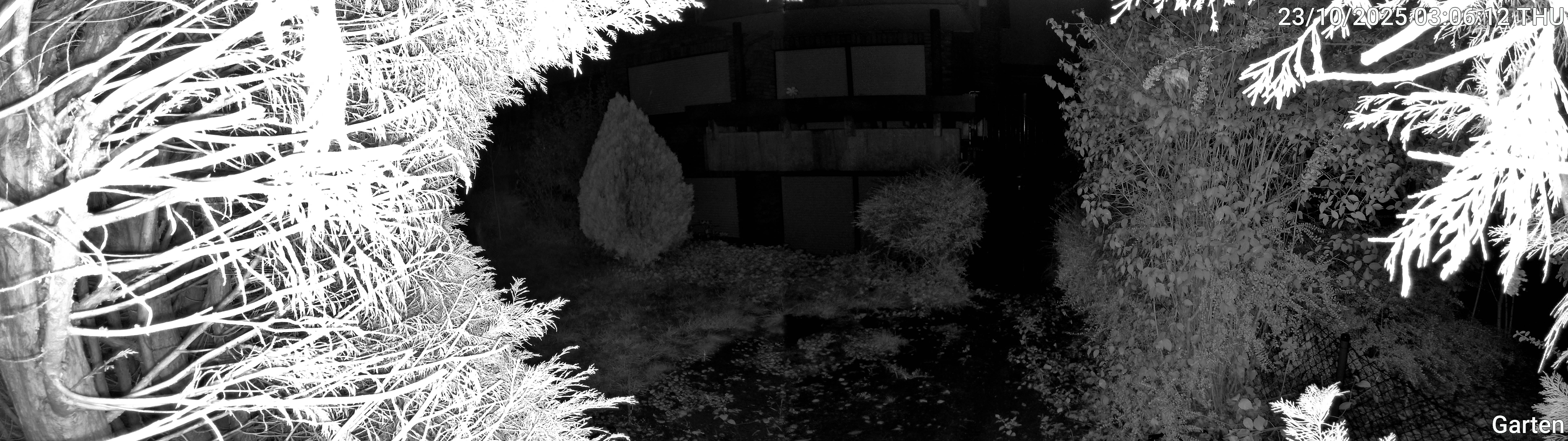 Garten_00_20251023030612.jpg