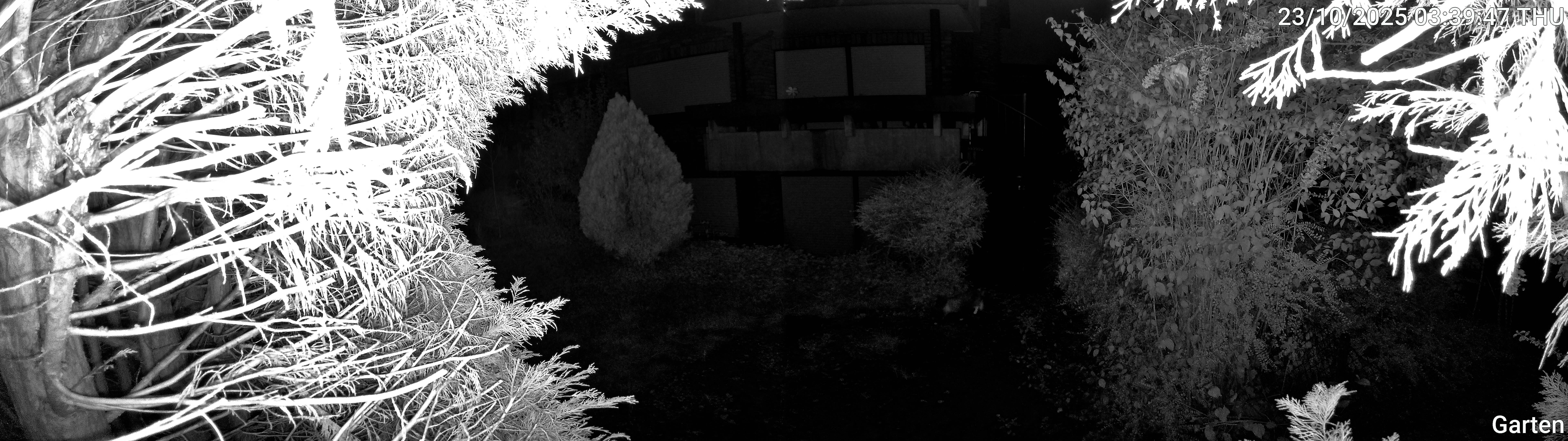 Garten_00_20251023033947.jpg