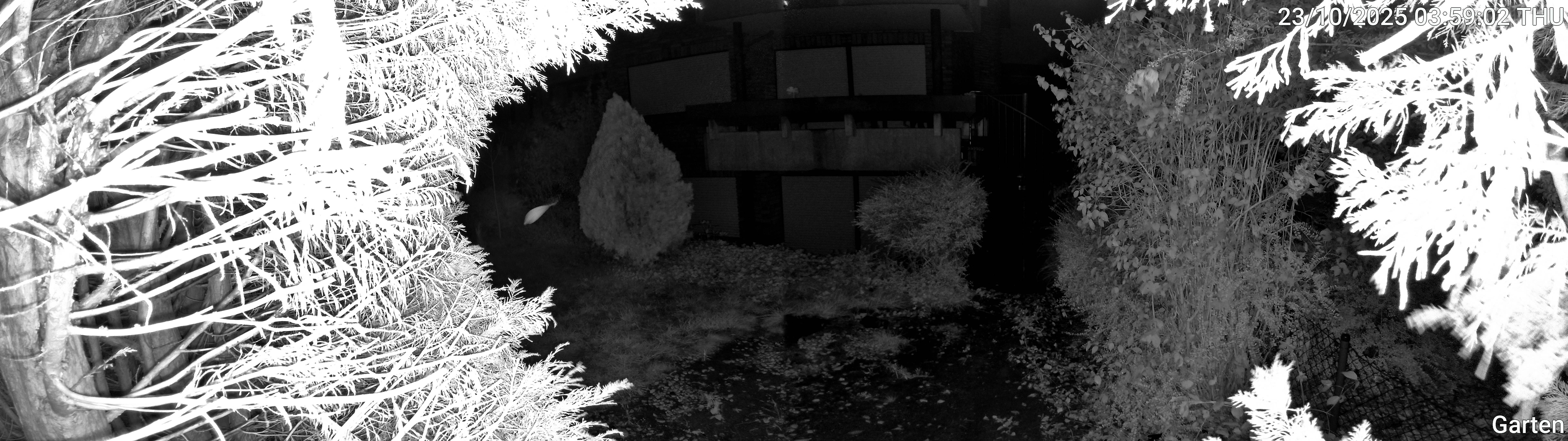Garten_00_20251023035902.jpg