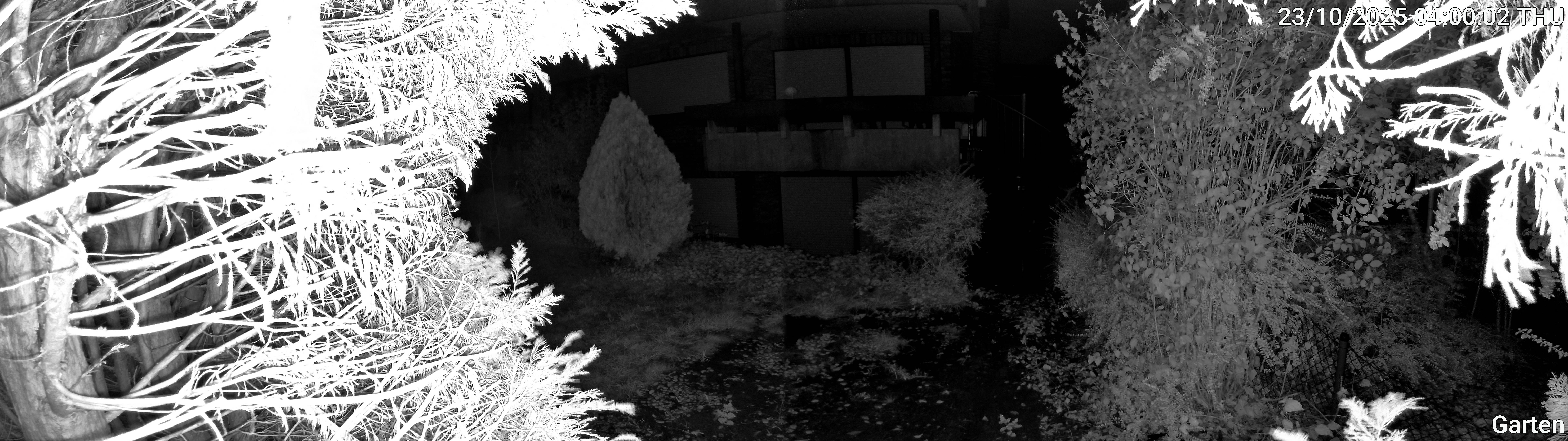 Garten_00_20251023040002.jpg