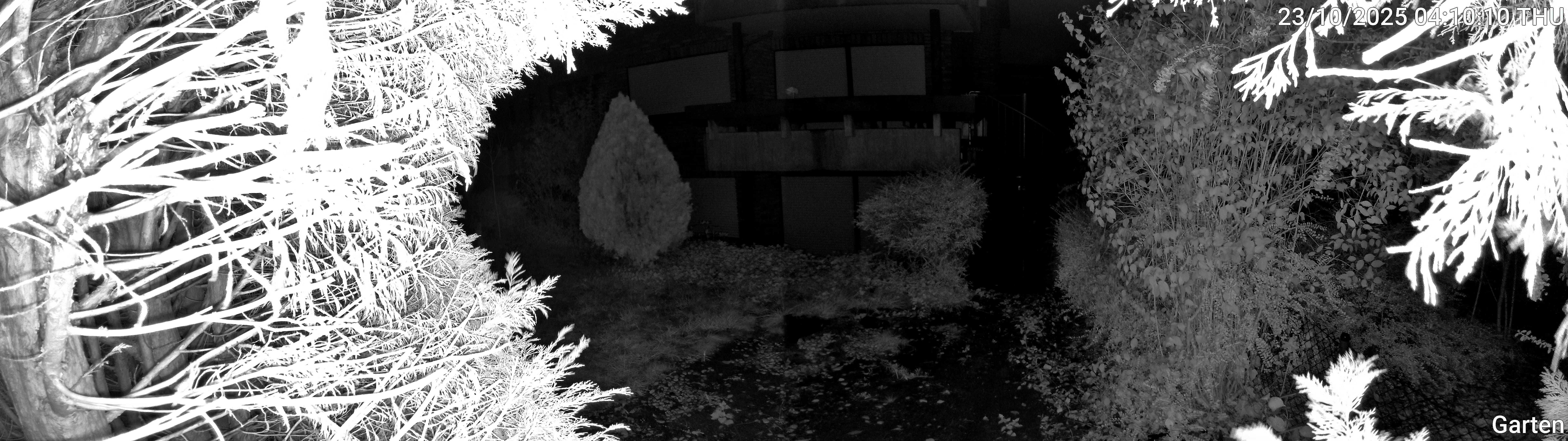 Garten_00_20251023041011.jpg