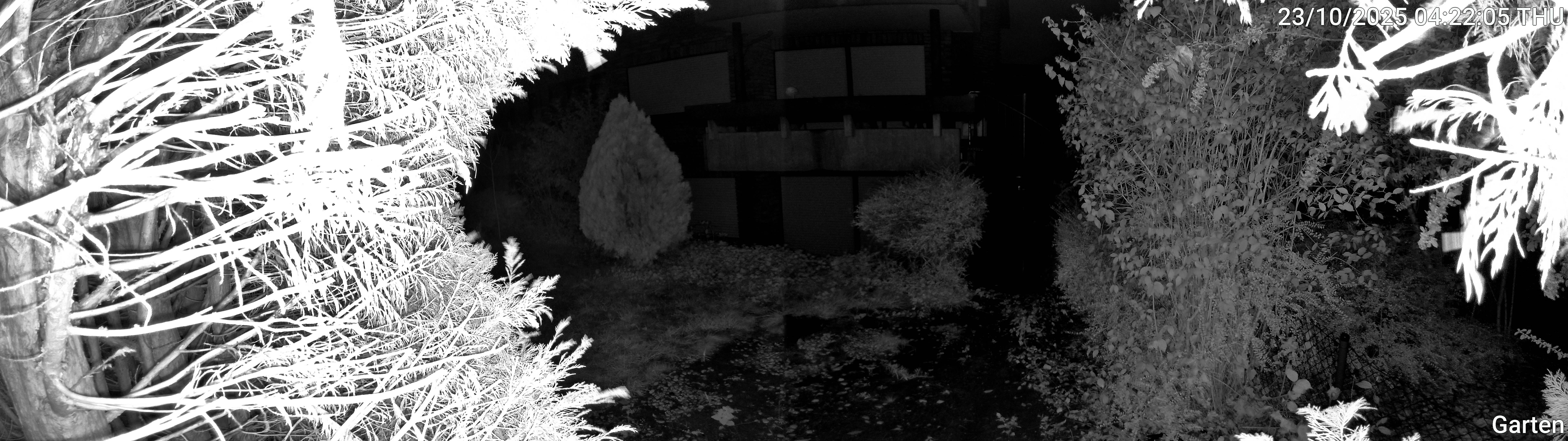 Garten_00_20251023042205.jpg