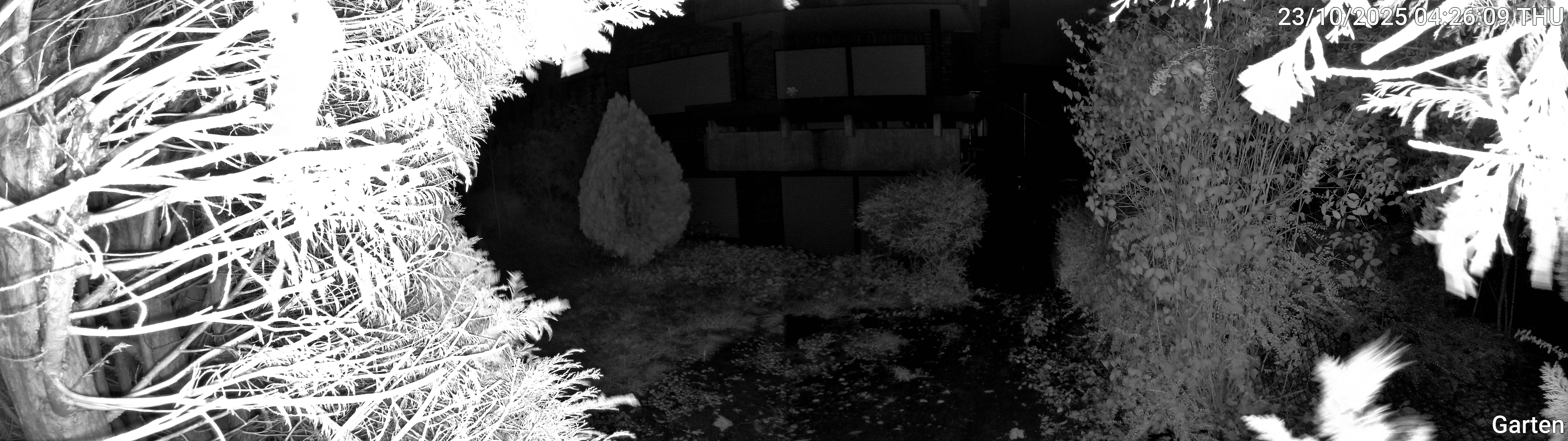 Garten_00_20251023042609.jpg