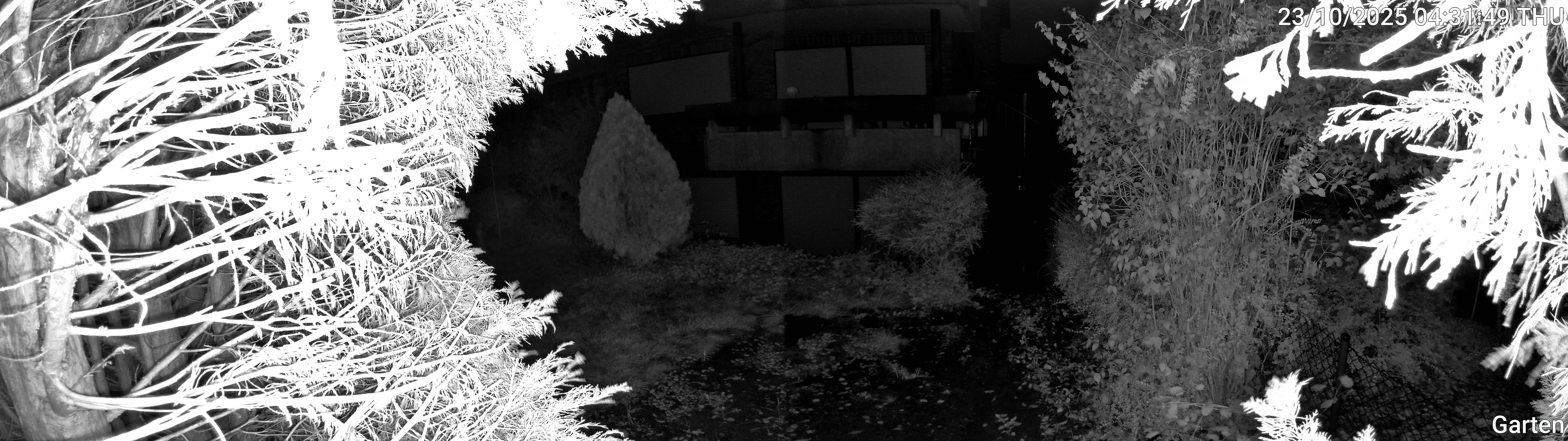 Garten_00_20251023043149.jpg