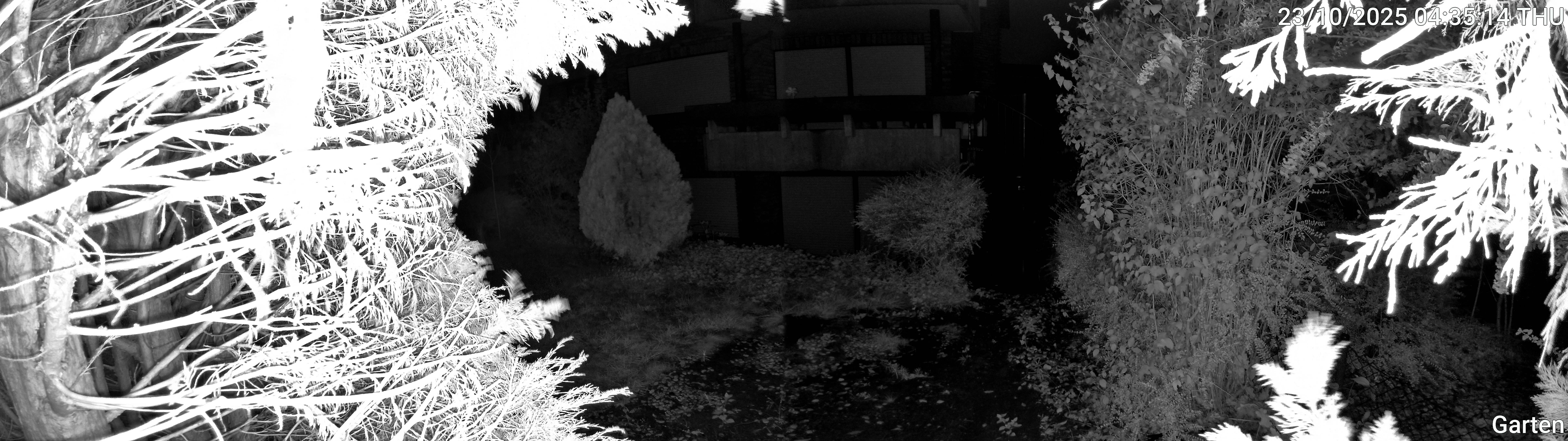 Garten_00_20251023043514.jpg