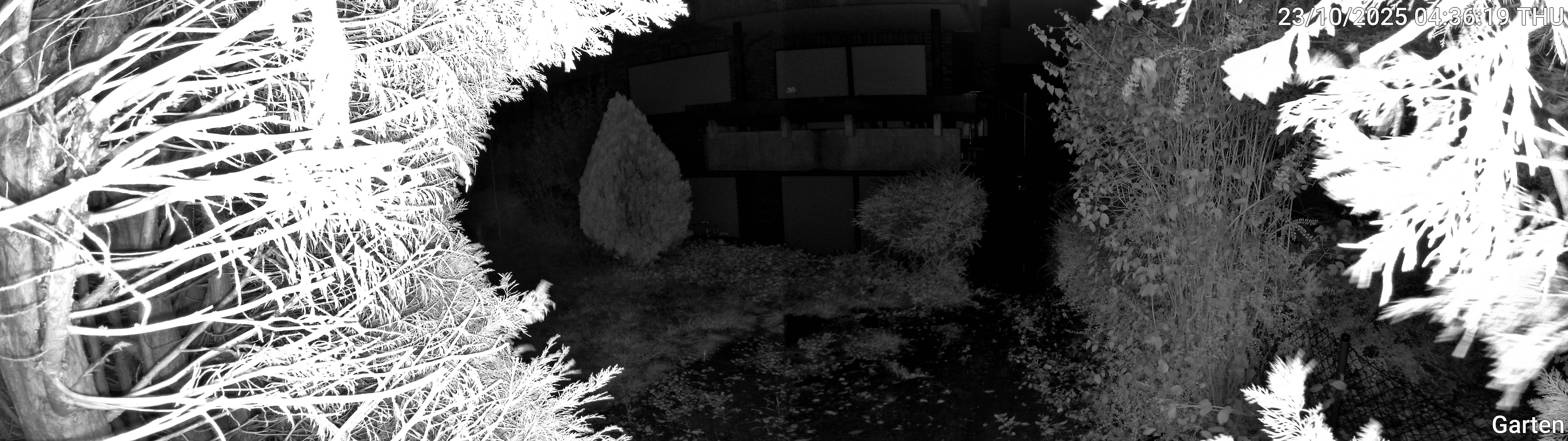 Garten_00_20251023043619.jpg