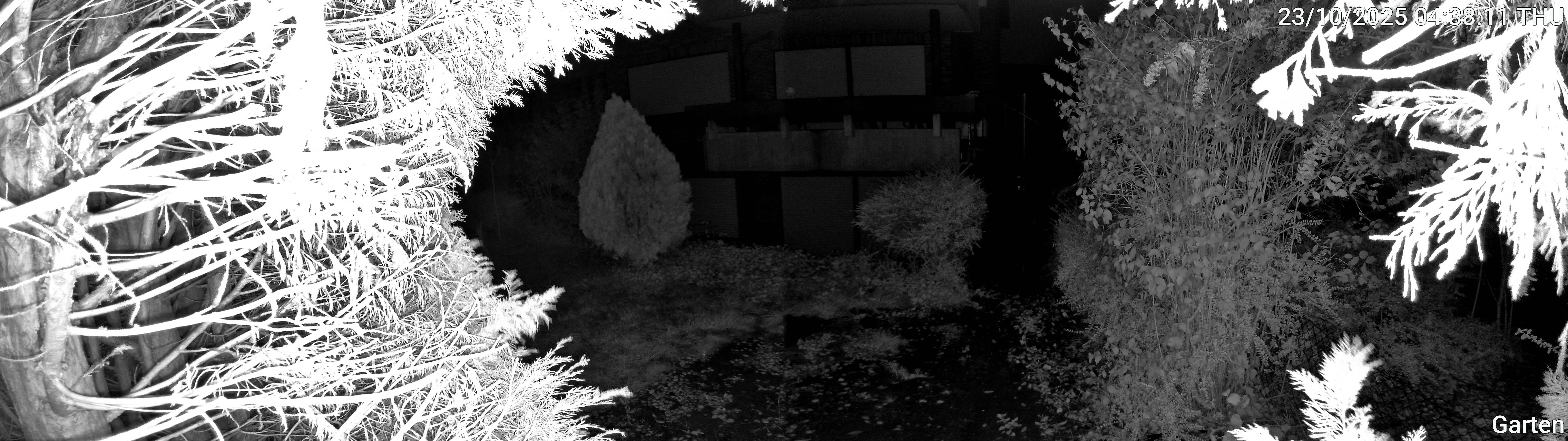 Garten_00_20251023043811.jpg