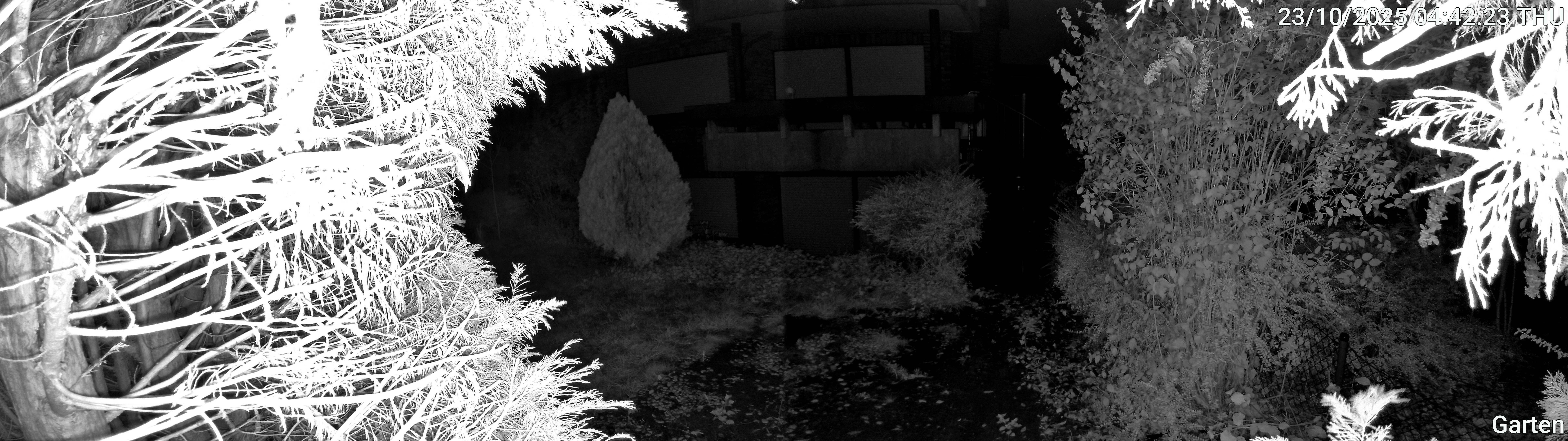 Garten_00_20251023044224.jpg