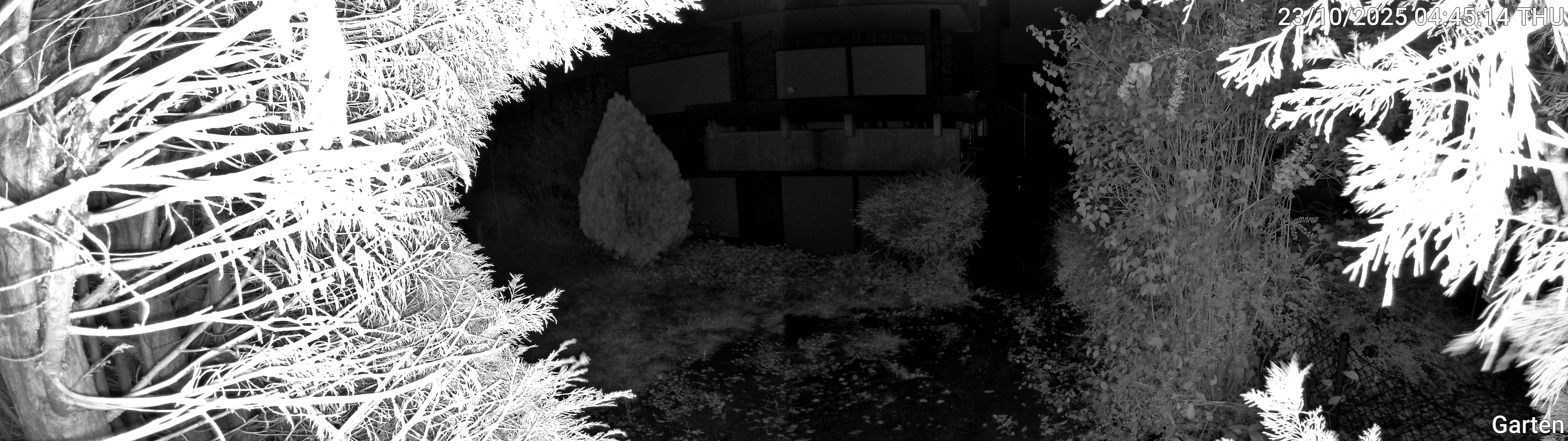 Garten_00_20251023044515.jpg
