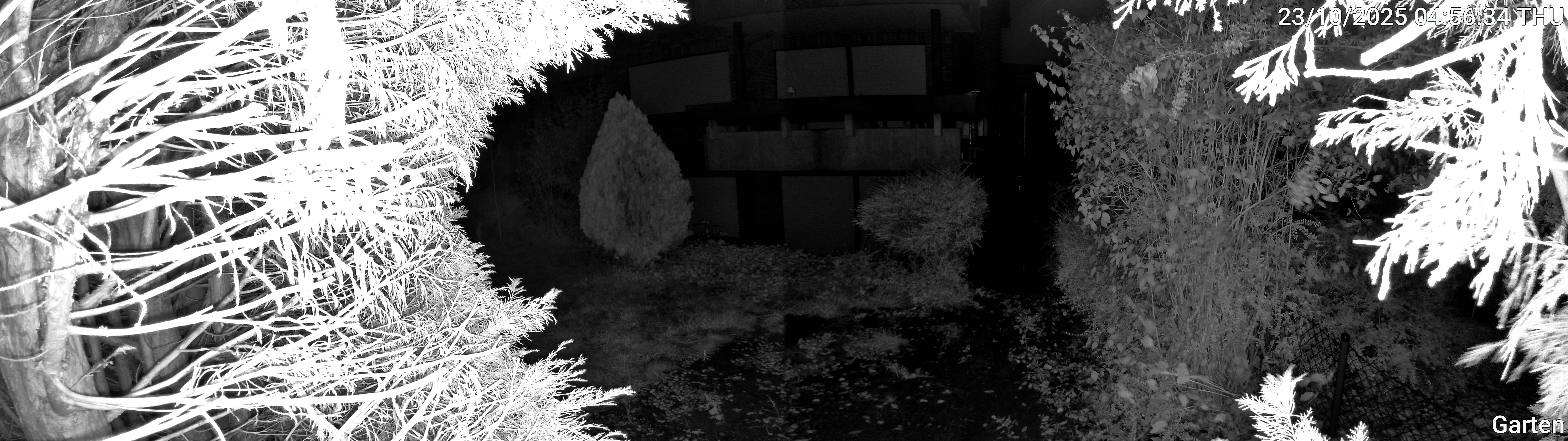 Garten_00_20251023045634.jpg