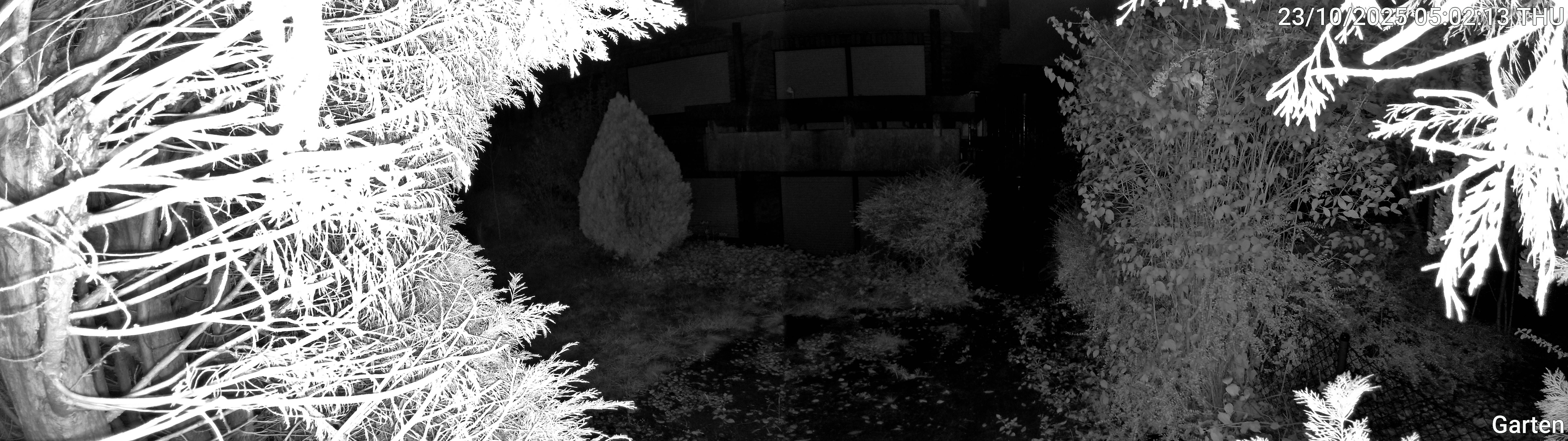 Garten_00_20251023050213.jpg