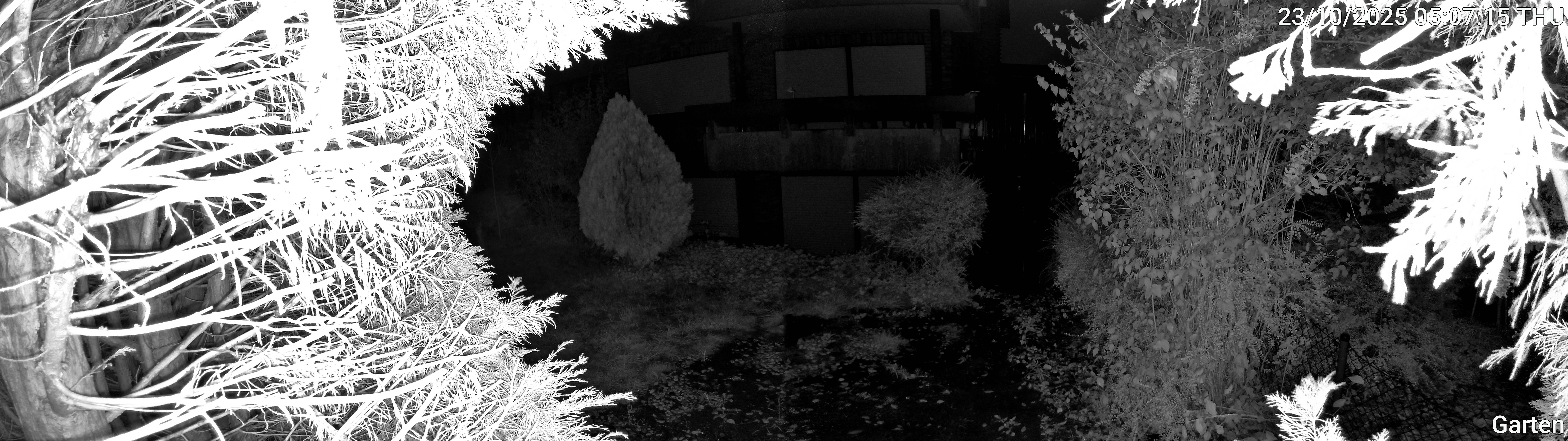 Garten_00_20251023050715.jpg