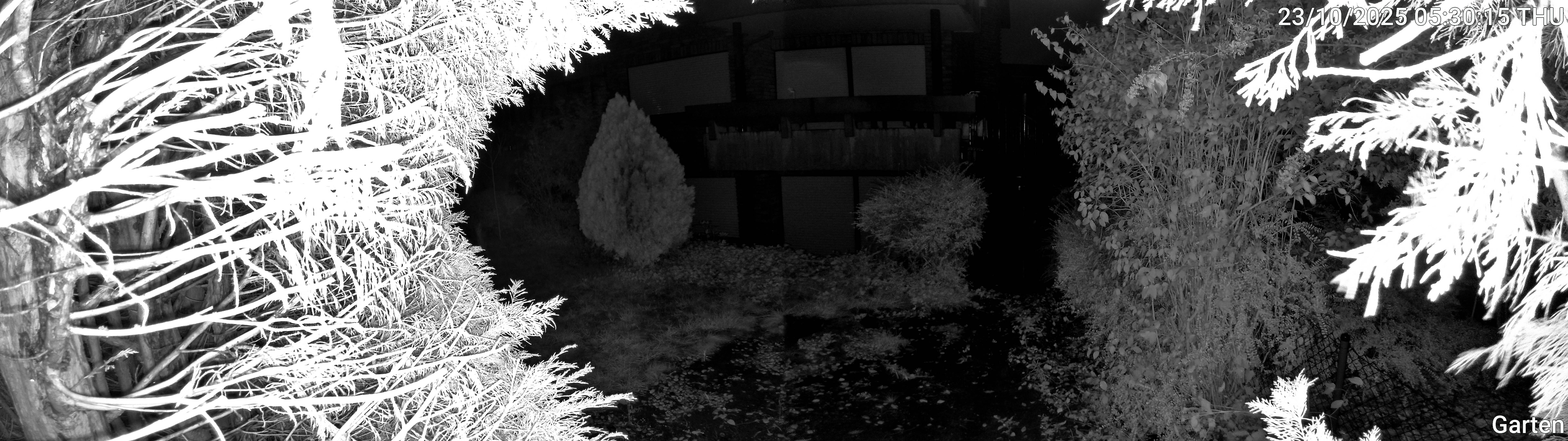 Garten_00_20251023053015.jpg