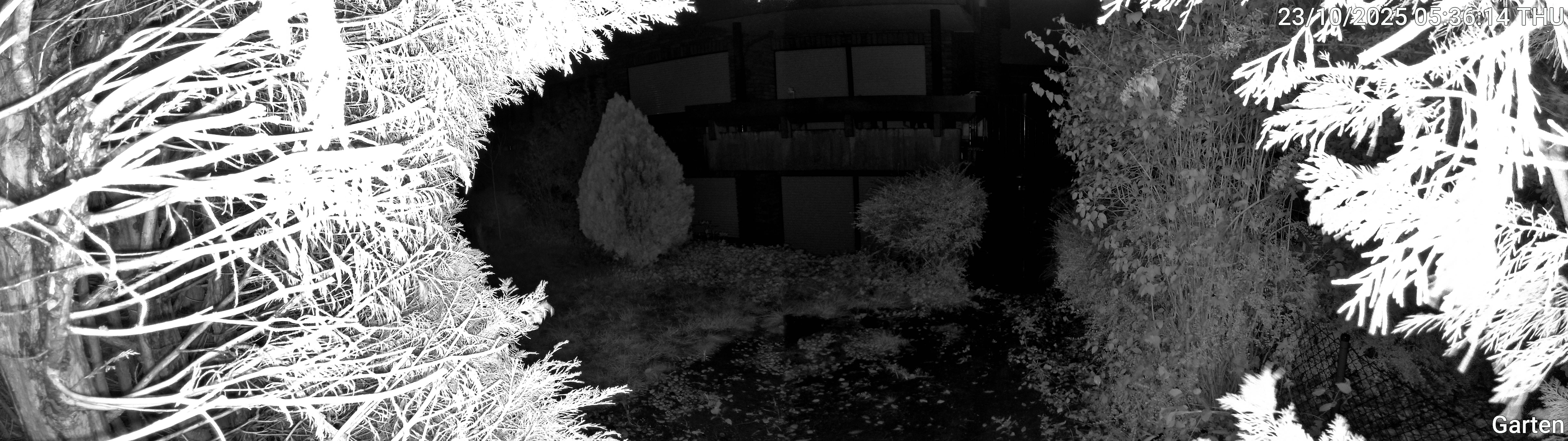 Garten_00_20251023053614.jpg