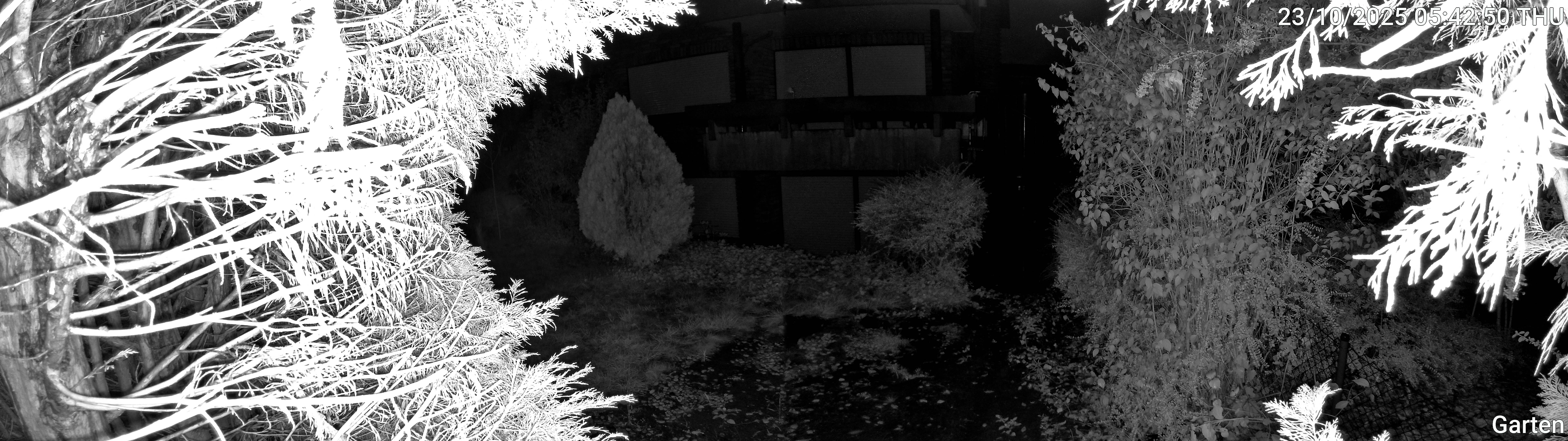 Garten_00_20251023054250.jpg