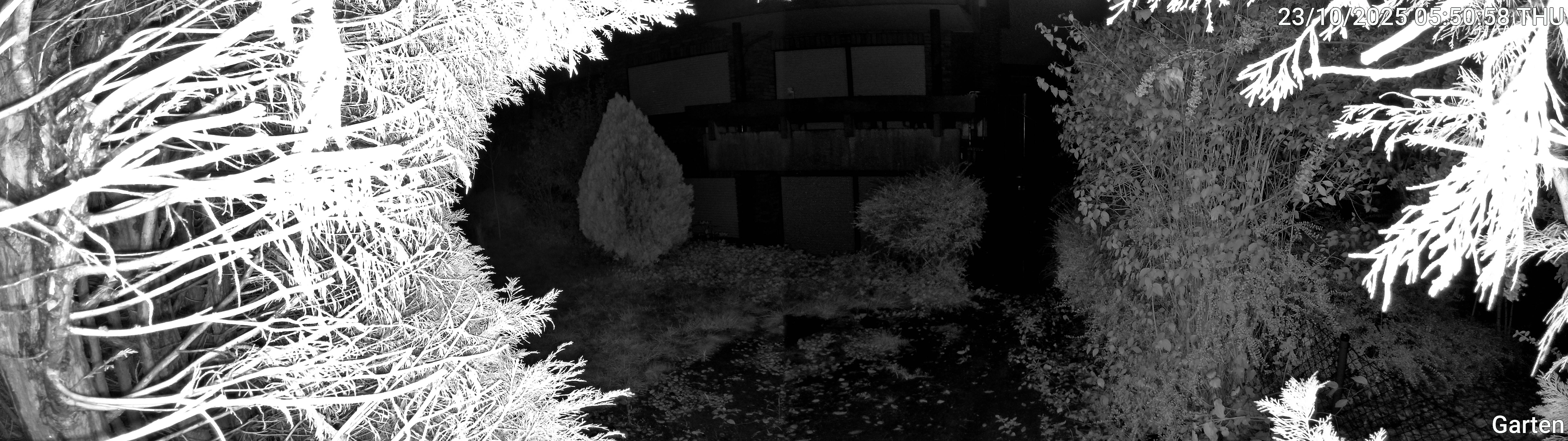 Garten_00_20251023055058.jpg