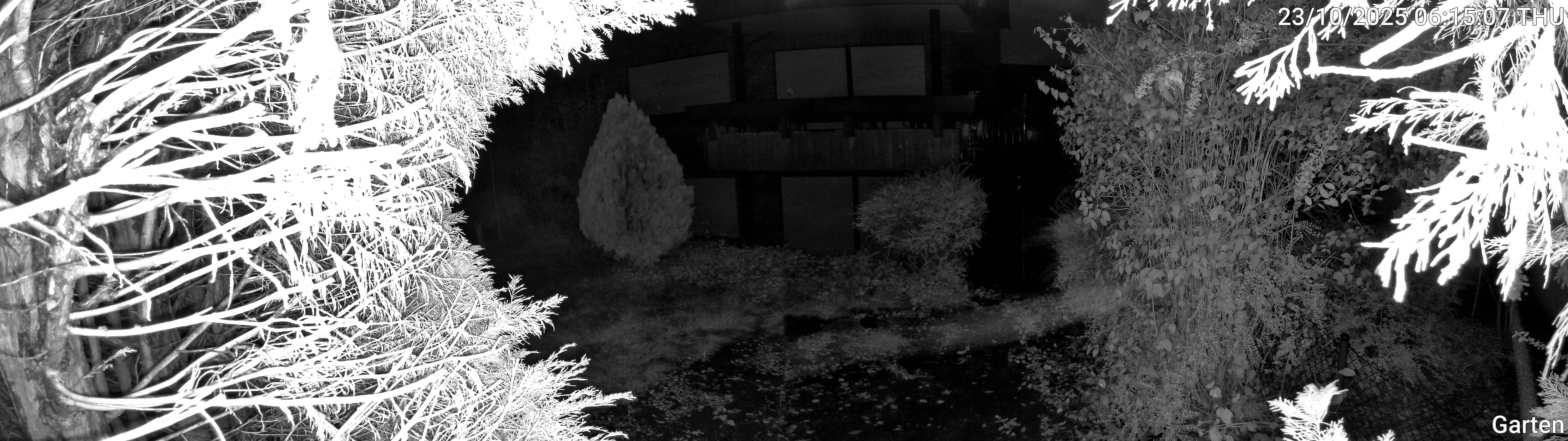Garten_00_20251023061507.jpg