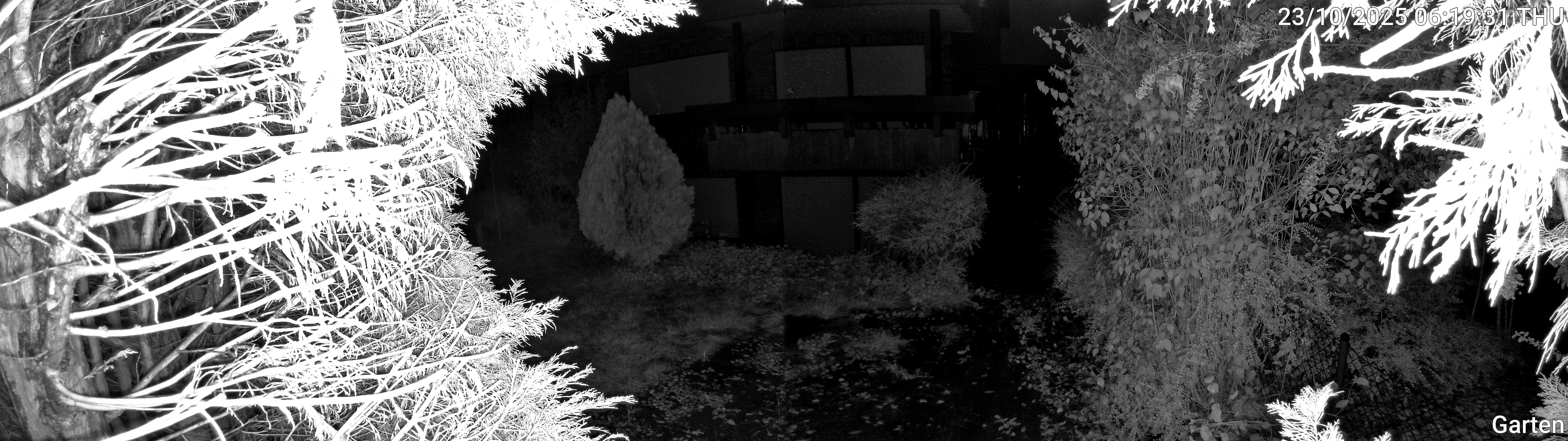 Garten_00_20251023061932.jpg