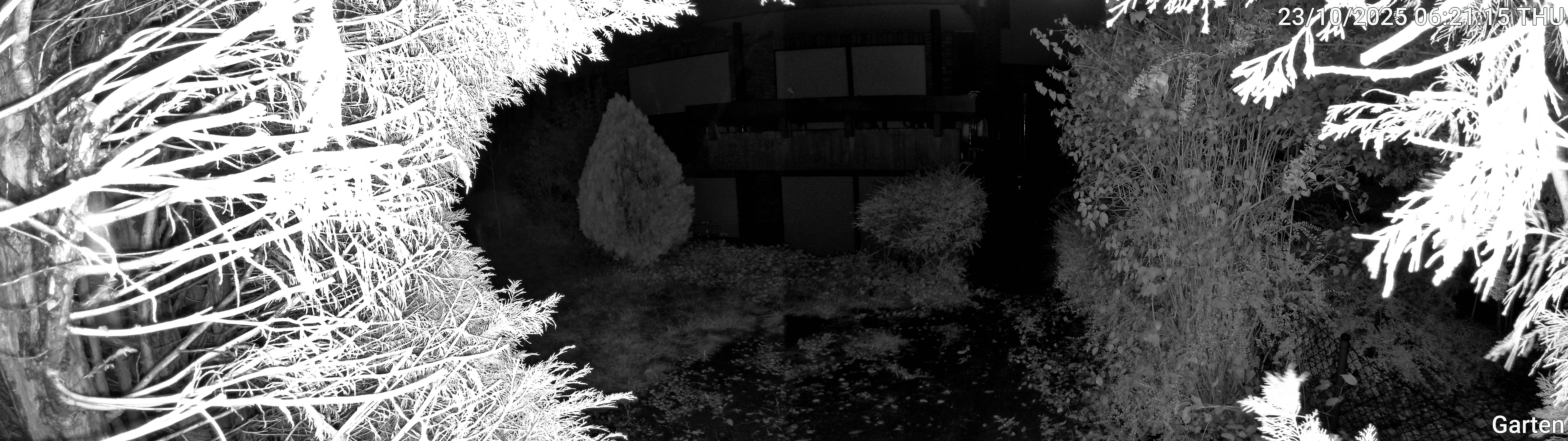 Garten_00_20251023062116.jpg