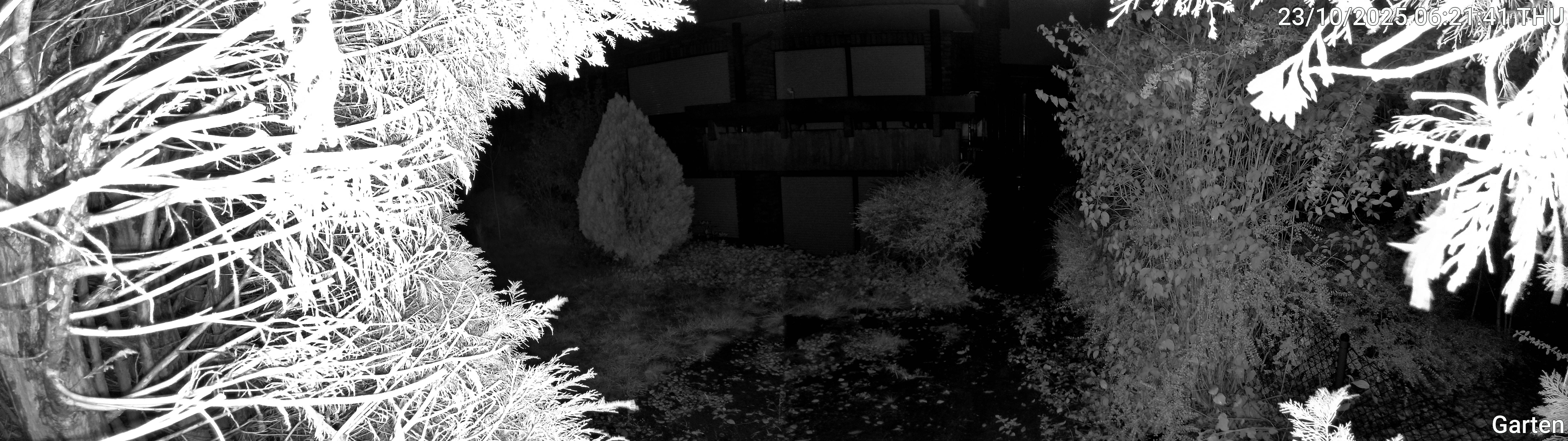 Garten_00_20251023062141.jpg