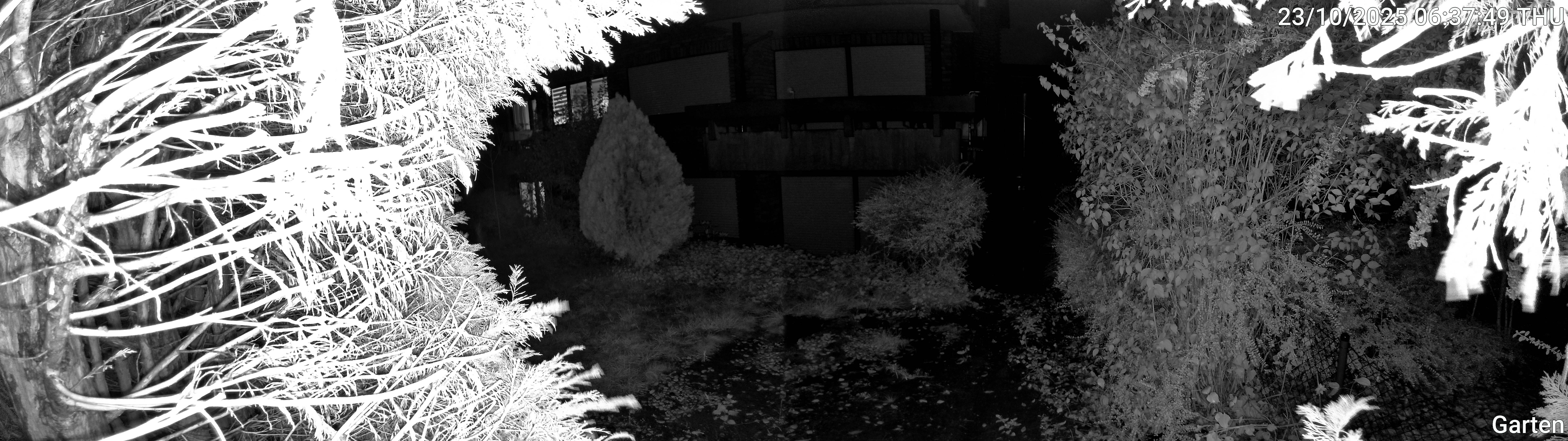 Garten_00_20251023063749.jpg