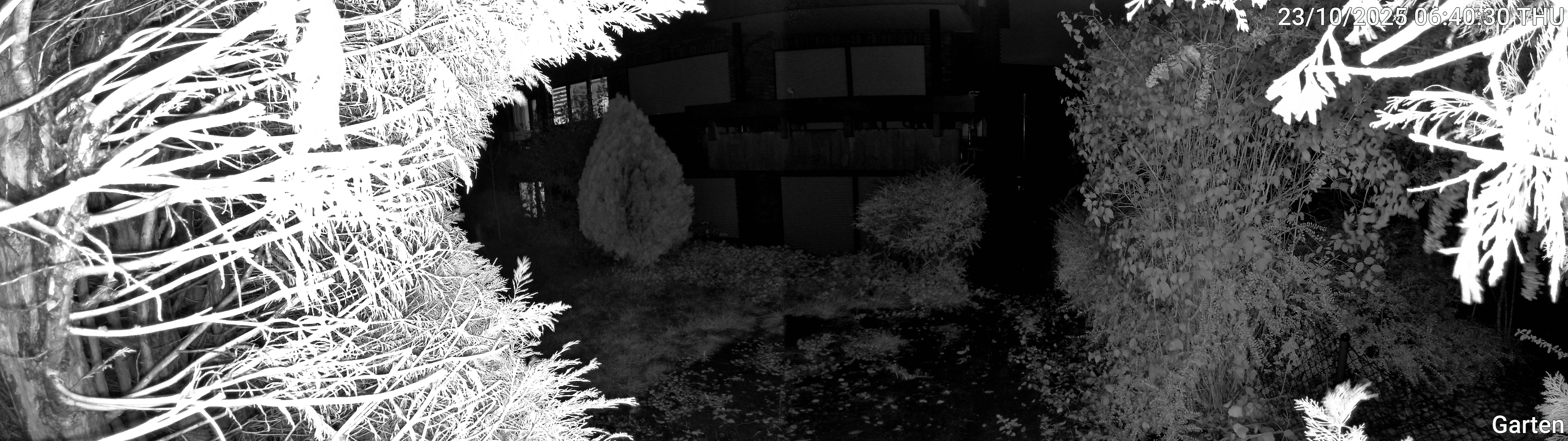 Garten_00_20251023064030.jpg