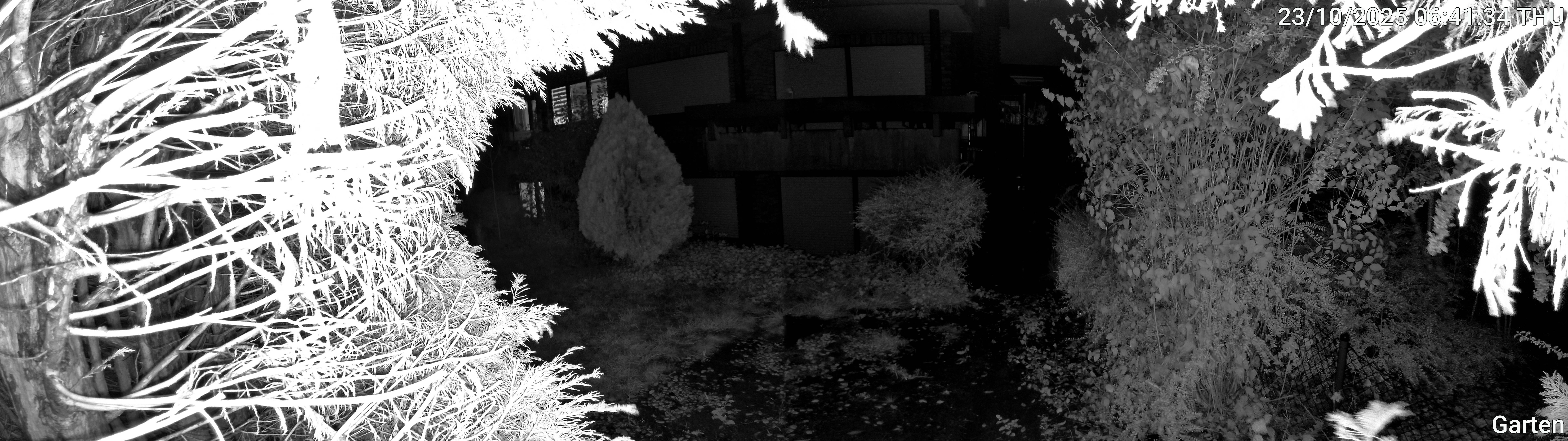 Garten_00_20251023064134.jpg