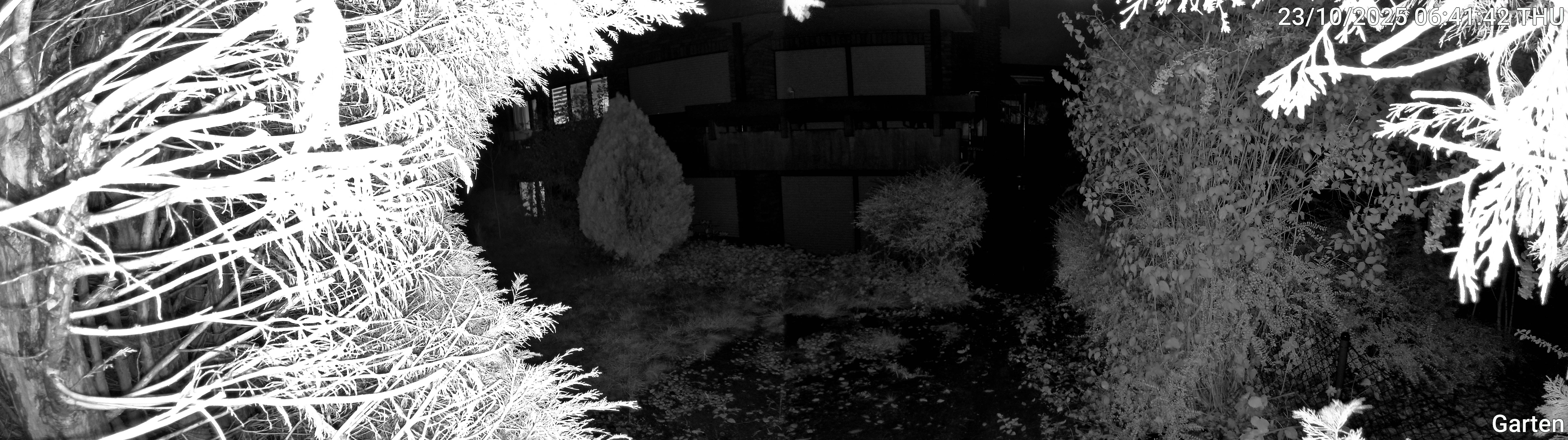 Garten_00_20251023064142.jpg