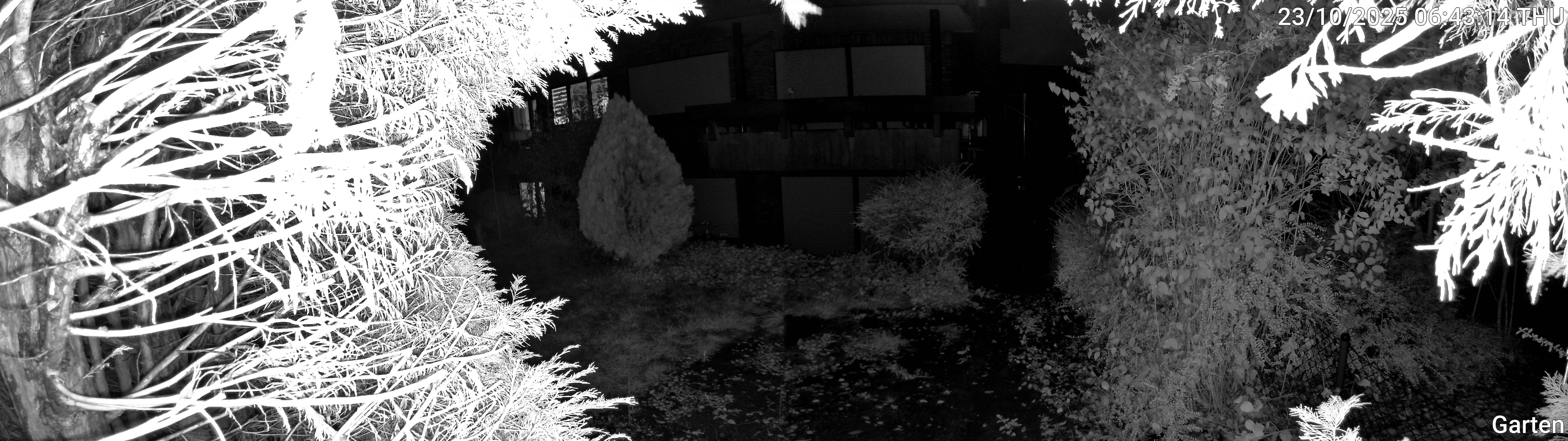 Garten_00_20251023064314.jpg