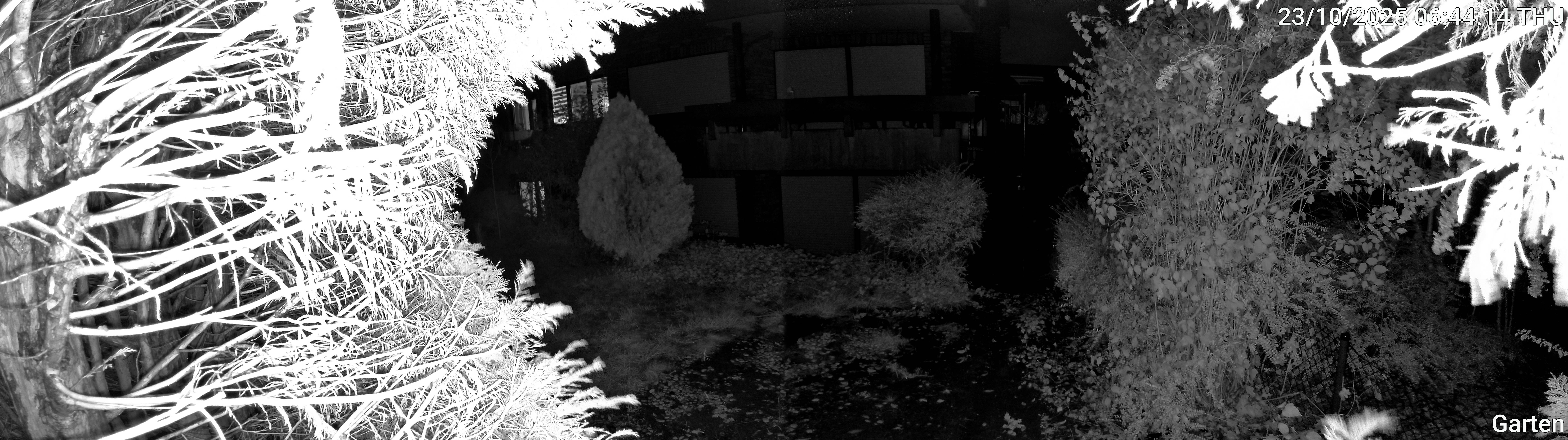 Garten_00_20251023064414.jpg