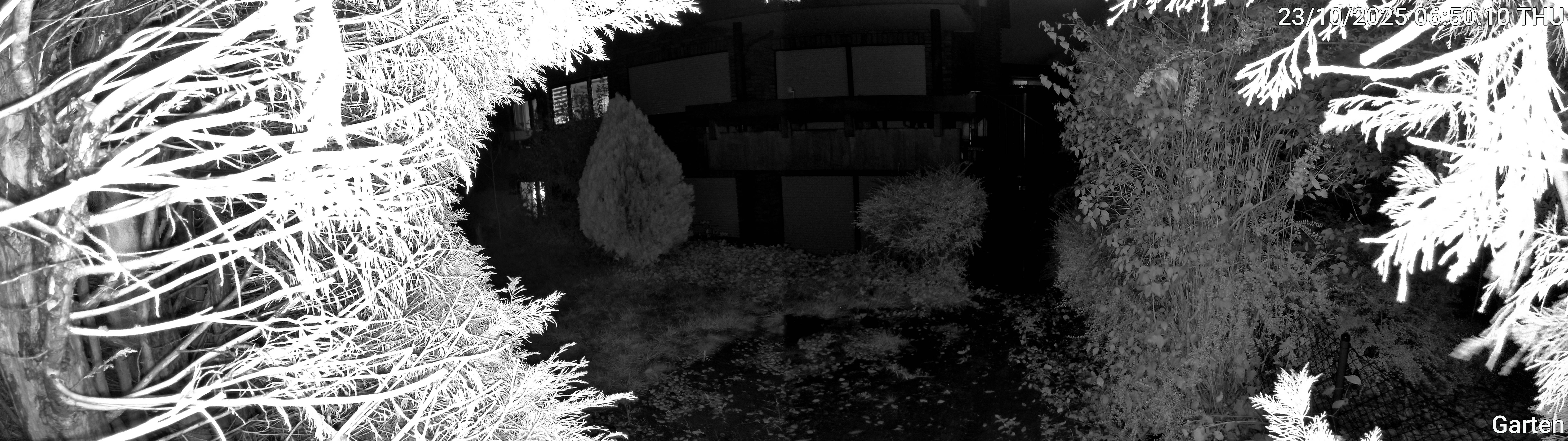 Garten_00_20251023065011.jpg
