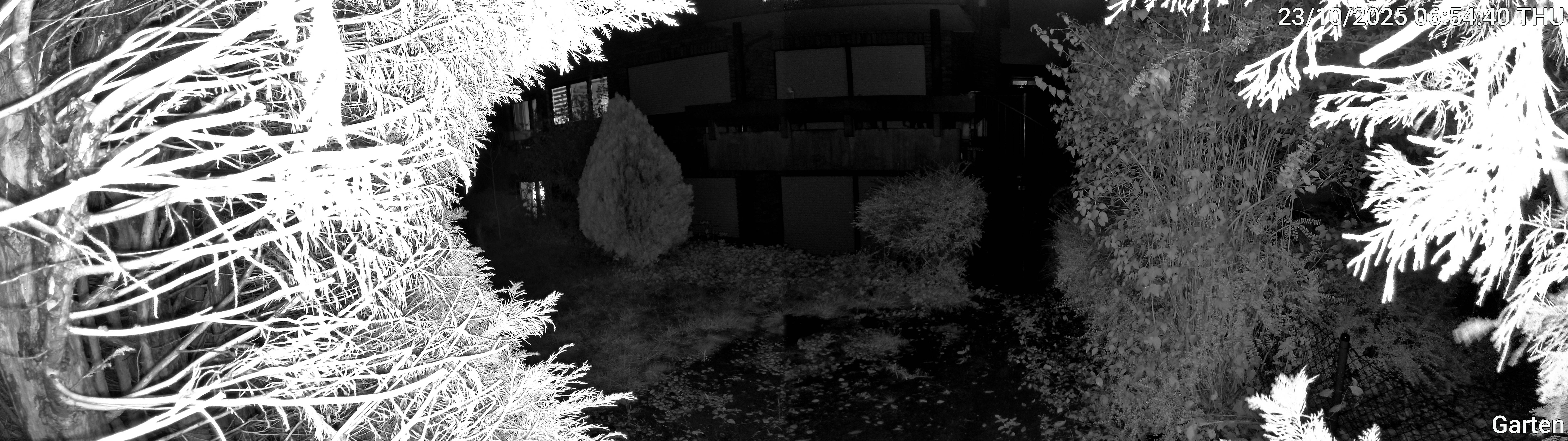 Garten_00_20251023065440.jpg