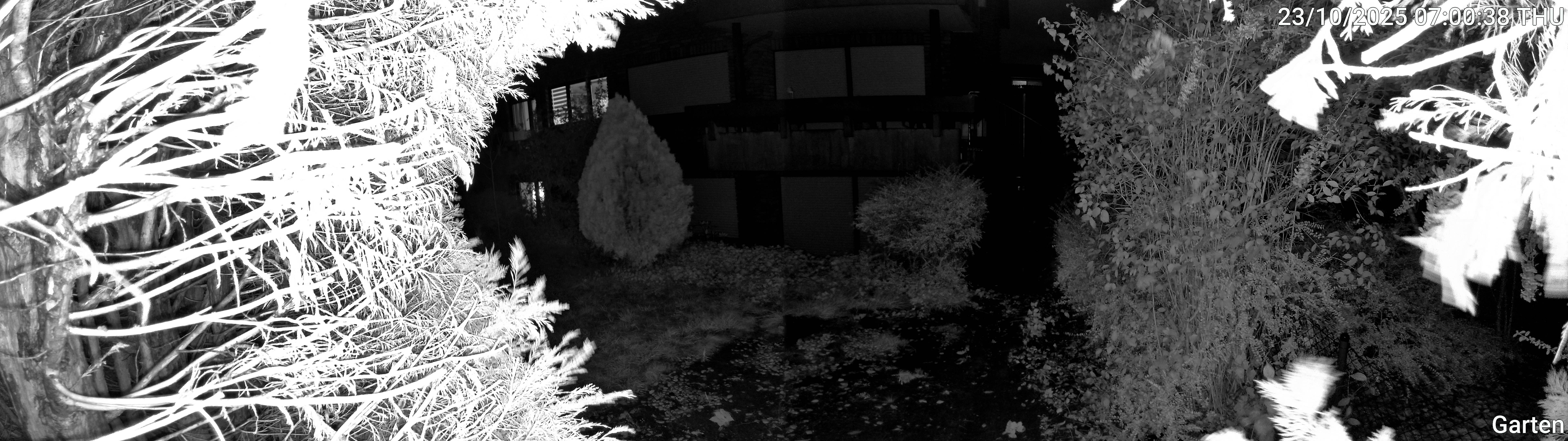 Garten_00_20251023070038.jpg